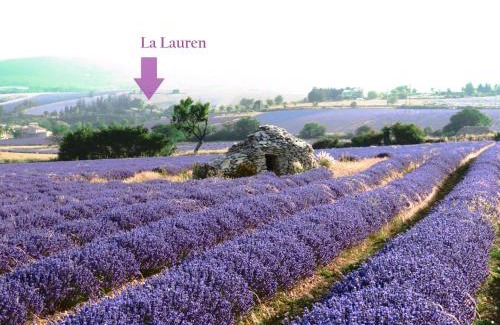 Ferrassieres House | Domaine La Lauren avec piscine chauffée et jacuzzi