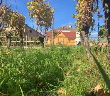 Gertwiller House | Domaine Rosfelder - locations de gîte et cabane insolite