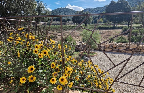 Moltifao House | Domaine U FILANCIU - Chiara house with swimming pool in Moltifao- Centre Corse