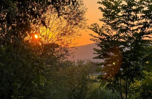 Medias Bed & Breakfast | Domeniul Trei Stejari