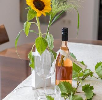 Illmitz House | Domizil Illmitz