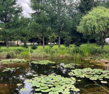 Uherce Mineralne House | Domki nad Stawem Uherce