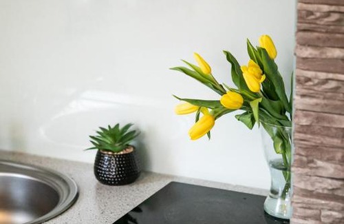 Stary Sacz Ski Chalet | DOMKI PRZY STAWACH CAŁOROCZNE