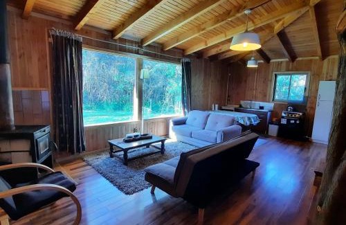 Melipeuco House | Domos Conguillío - Cabaña en el bosque