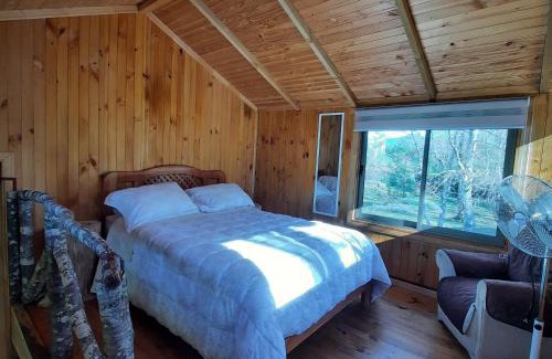 Melipeuco House | Domos Conguillío - Cabaña en el bosque