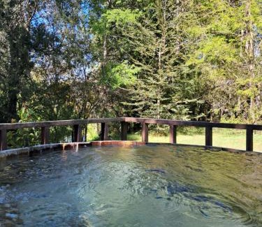 Melipeuco House | Domos Conguillío - Cabaña en el bosque