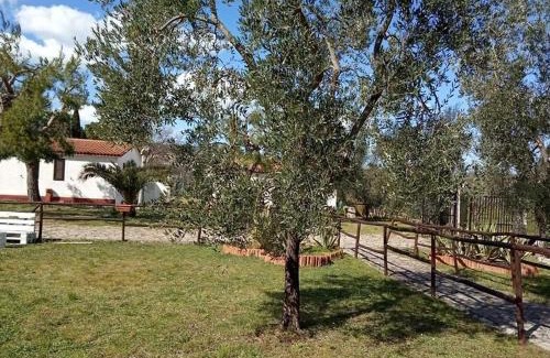 Montincello House | Domus Vestae