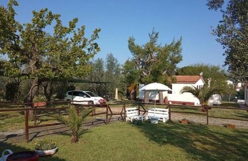 Montincello House | Domus Vestae