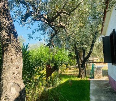 Montincello House | Domus Vestae