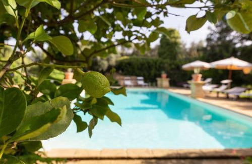 Mockarta Apartment | Donna Vittoria - Grande