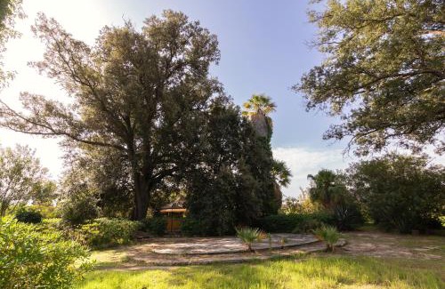 Mockarta Apartment | Donna Vittoria - Grande