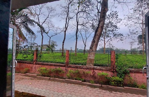 Neora House | Dooars Panorama Nature's Nest