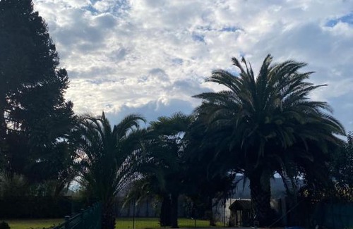 O'Higgins Region Bed & Breakfast | Dorados Suite