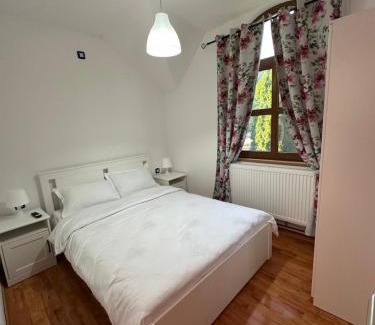 Lipova House | Dorgo House