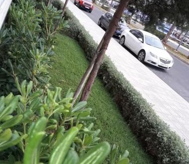 Tamariss Apartment | Doris at peninsula