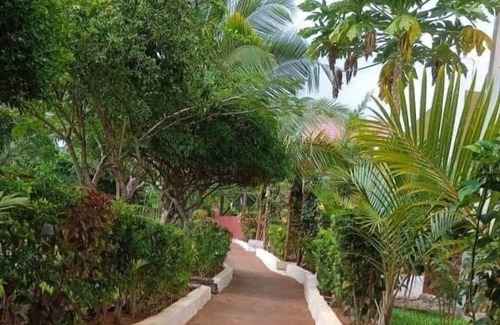 Nungwi House | Double Room - Garden View