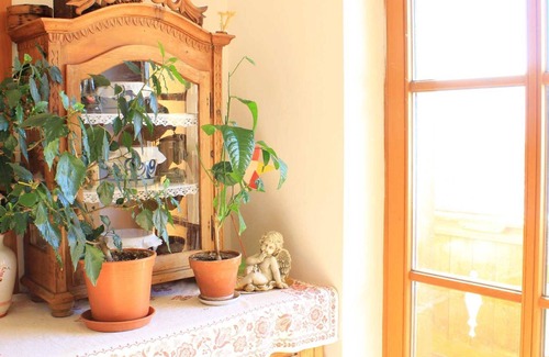 Wildschoenau Other | Double Room with Mountain View 2 - Sonnsteinhof