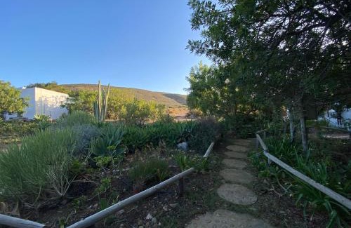 Breede Valley Ski Chalet | Dove Cottage at Rhebokskraal Olive Estate