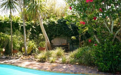 Bergvliet Apartment | Dove Cottage @ Squirrel's End