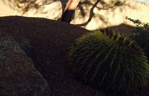 Dove Mountain House | Dove Mountain home fully equipped for sun and fun