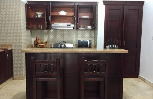 Santiago Province Apartment | Downtown exclusive deluxe apart.