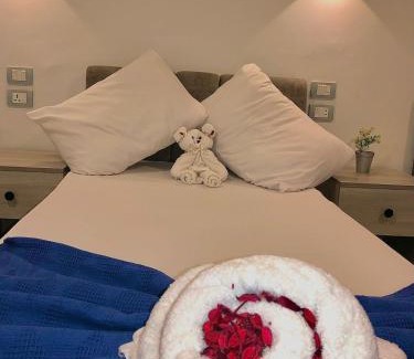 Downtown Cairo Hotel | Downtown Cairo Park Plaza Hotel