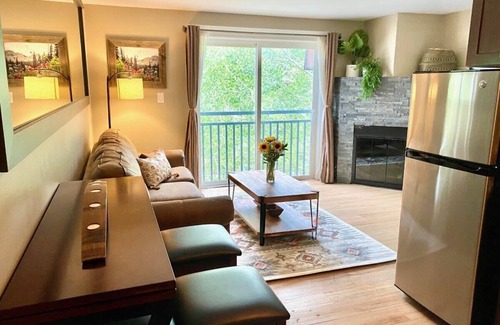 Historic District Condo | Downtown Condo-Walk Everywhere | Dog-Friendly