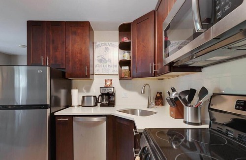 Historic District Condo | Downtown Condo-Walk Everywhere | Dog-Friendly