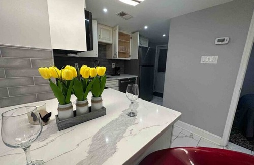 Truxton Circle Condo | Downtown Delight Vibrant Oasis in Heart of DC's Bustling Streets