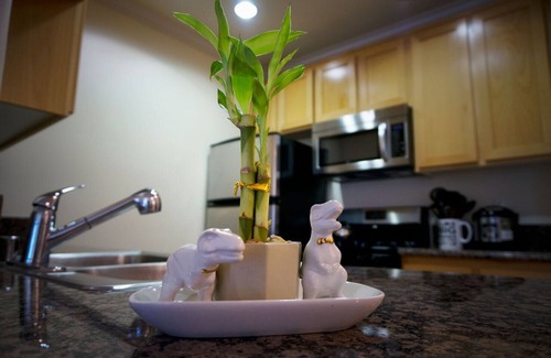 City West Apartment | Downtown Los Angeles Amazing vacation cozy work space 1 bedroom home apartment