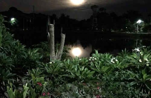 Wichian Buri Ski Chalet | Dream house in a cozy small village where everyone knows each other