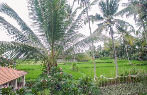 Pejeng Kawan Apartment | Dreamy Treetop Loft in the Rice Fields!