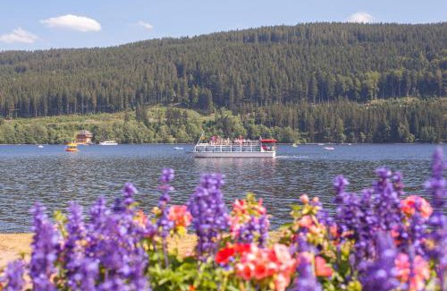 Titisee-Neustadt Apartment | Drei Tannen - Wohnung 08 - Apartmenthaus, Titisee, Feldberg