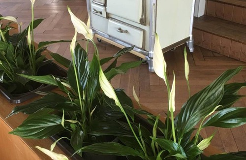 Palzem House | Dreibettzimmer Du/wc - Sleep & GO Zur Moselterrasse