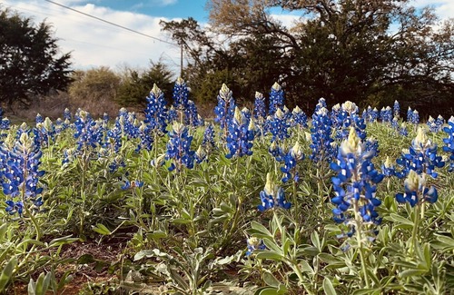Llano RV Rental | Dry Camp! Solar Eclipse!