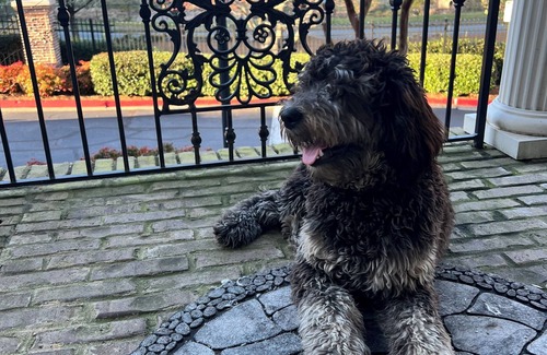 Sandy Springs House | Dunwoody Dreamz…in Sandy Springs