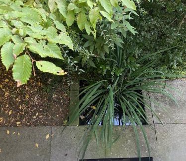 Evilard Apartment | Duplex Loft Apartment