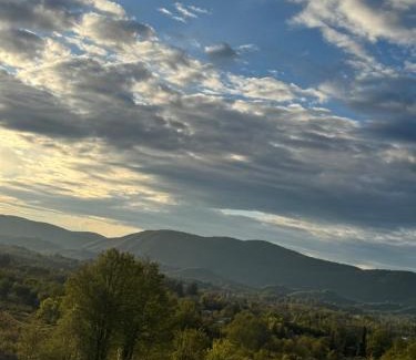 Martivili Hotel | Dzaria cottage