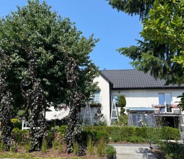 Wygielzow Apartment | Dziupla