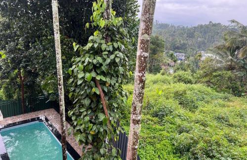 Vayittiri Apartment | Easy Inn Wayanad