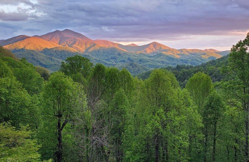 Sylva Apartment | Eclectic Style Home, Million Dollar View!