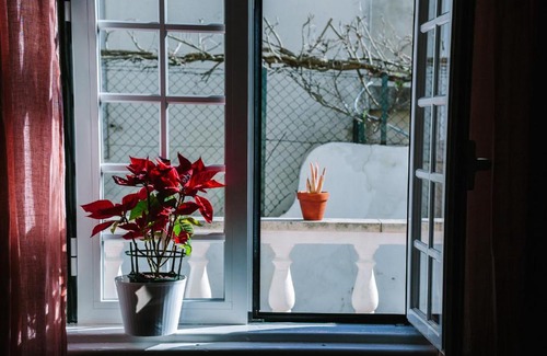 Cascais Hostel | Eco Ljmonade Hostel