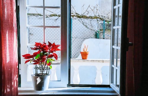 Cascais Hostel | Eco Ljmonade