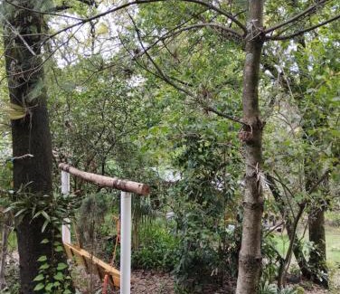 Tepoztlan Other | Eco Rooms Pablo's