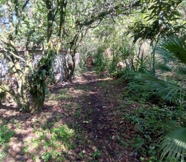 Tepoztlan Other | Eco Rooms Pablo's