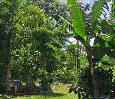 Sao Lourenco do Oeste House | EcoPousada - Sitio Aborigene