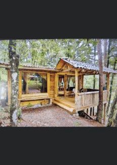 Acaxochitlan Apartment | ecoturístico montaña viviente , CABAÑA CHALCHOAPAN