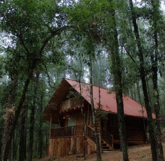 Acaxochitlan Apartment | ecoturístico montaña viviente , CABAÑA CHALCHOAPAN