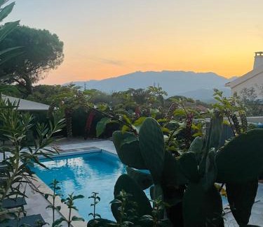 Porto-Vecchio Apartment | Edith et Jean-Paul