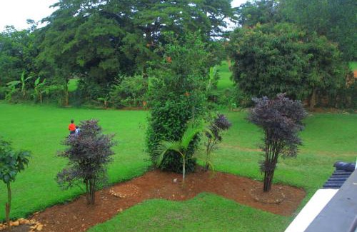 Entebbe Hotel | Egg Botanical View